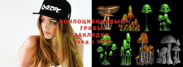 мет Горно-Алтайск
