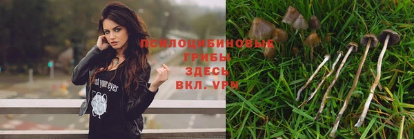 кокаин премиум Горнозаводск