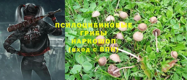 кокаин премиум Горнозаводск